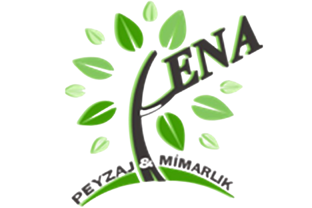 ena-removebg-preview